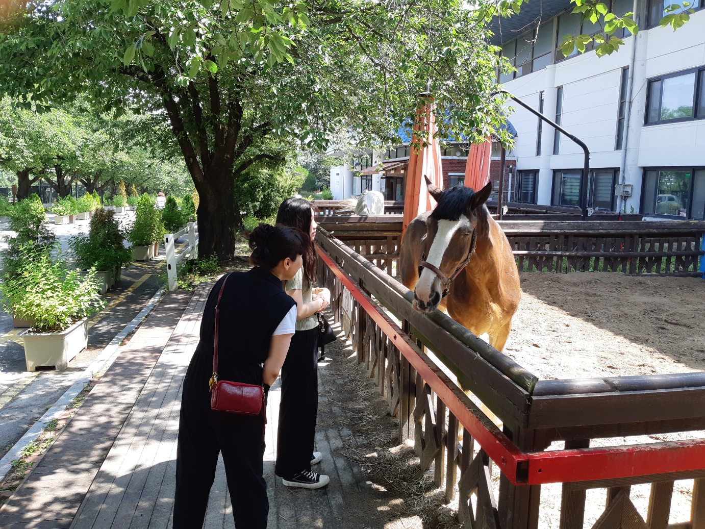 6.jpg 첨부 이미지